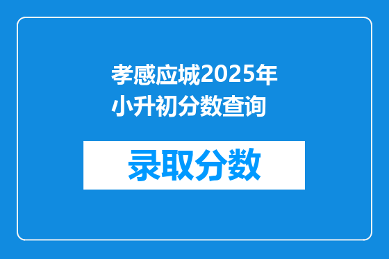 孝感应城2025年小升初分数查询