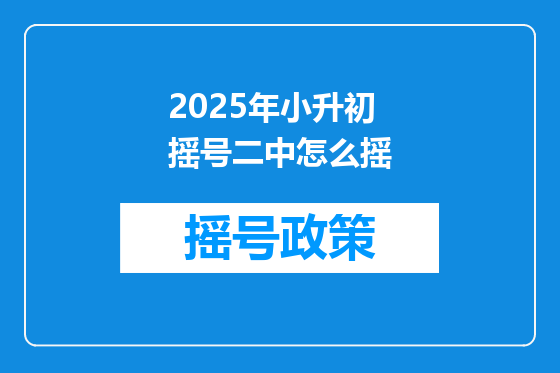 2025年小升初摇号二中怎么摇