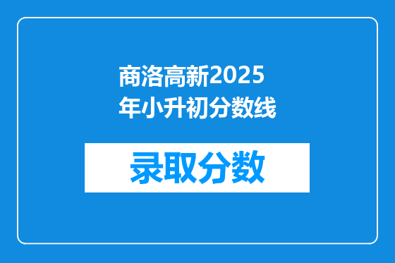 商洛高新2025年小升初分数线