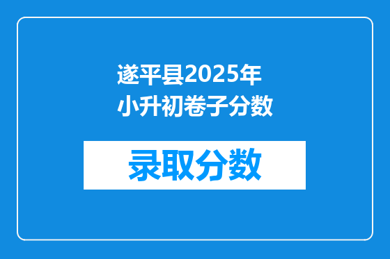 遂平县2025年小升初卷子分数