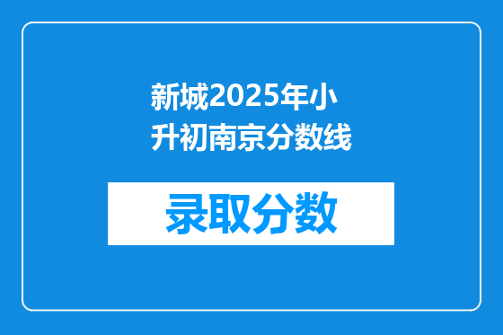 新城2025年小升初南京分数线