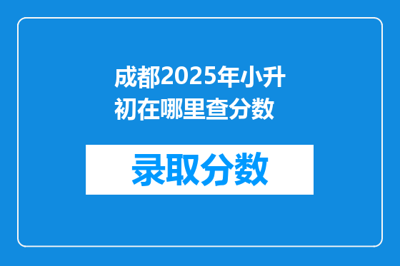 成都2025年小升初在哪里查分数