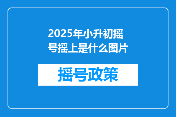 2025年小升初摇号摇上是什么图片