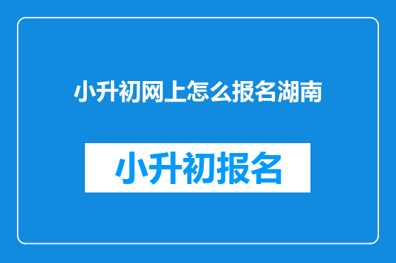 小升初网上怎么报名湖南