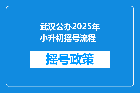 武汉公办2025年小升初摇号流程