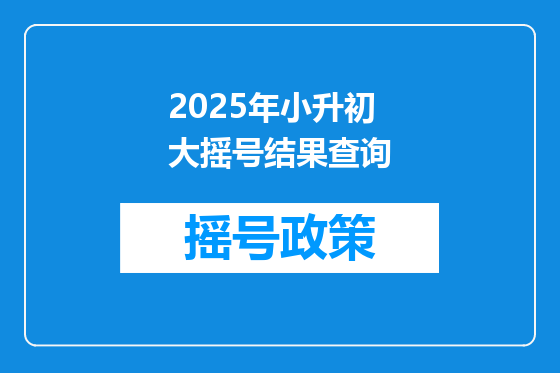 2025年小升初大摇号结果查询