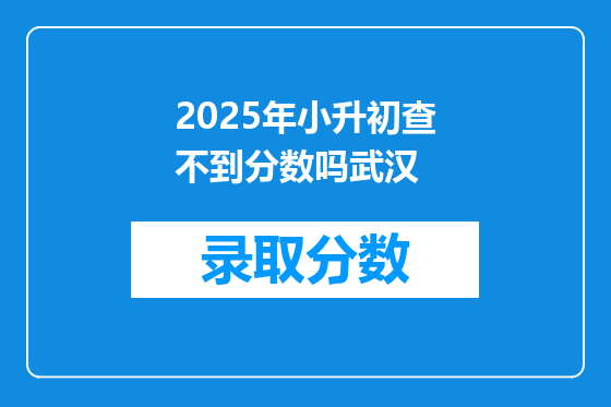 2025年小升初查不到分数吗武汉