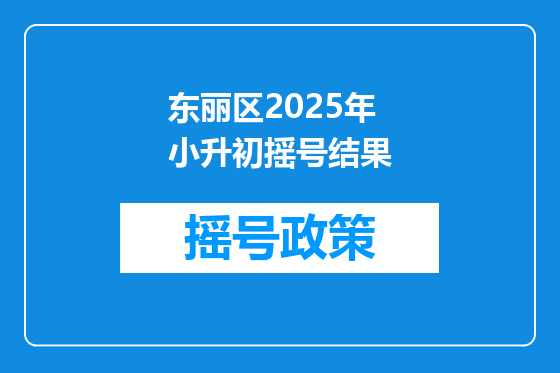 东丽区2025年小升初摇号结果