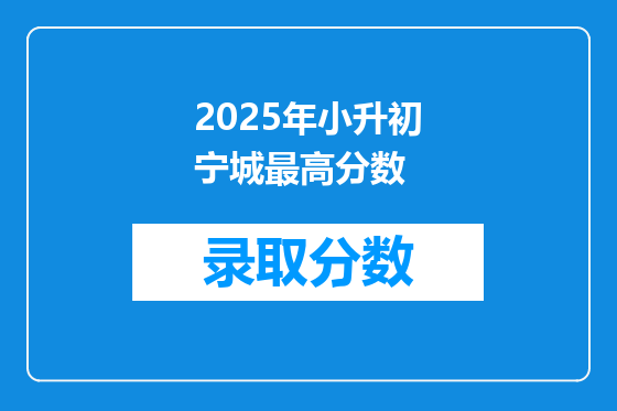 2025年小升初宁城最高分数
