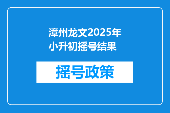 漳州龙文2025年小升初摇号结果