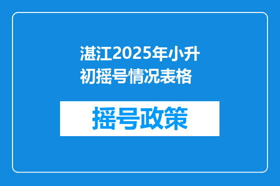 湛江2025年小升初摇号情况表格