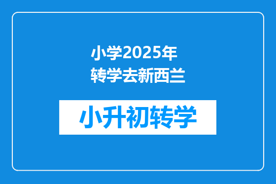 小学2025年转学去新西兰