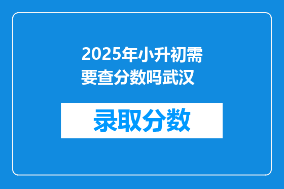 2025年小升初需要查分数吗武汉
