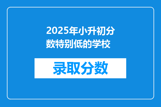 2025年小升初分数特别低的学校