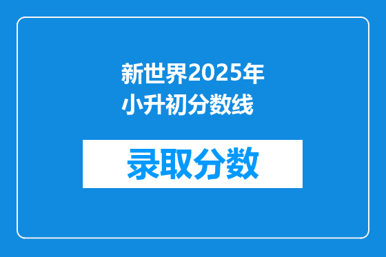 新世界2025年小升初分数线