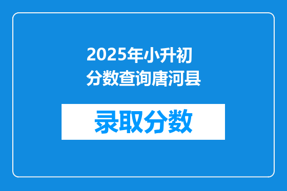 2025年小升初分数查询唐河县