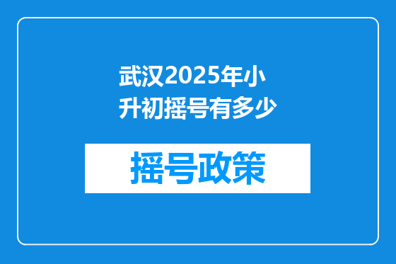 武汉2025年小升初摇号有多少