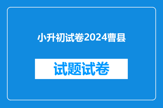 小升初试卷2024曹县