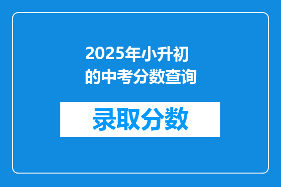 2025年小升初的中考分数查询