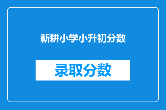 新耕小学小升初分数