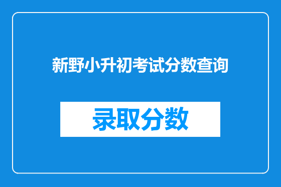 新野小升初考试分数查询