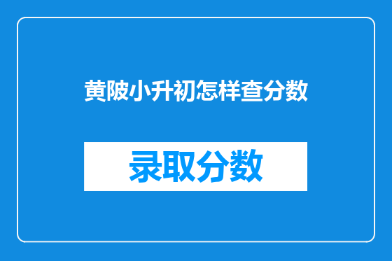 黄陂小升初怎样查分数