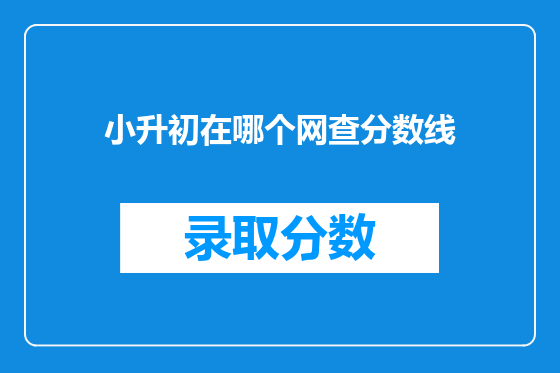 小升初在哪个网查分数线