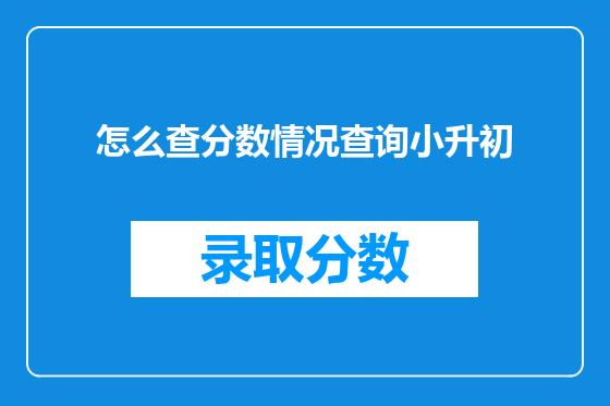 怎么查分数情况查询小升初