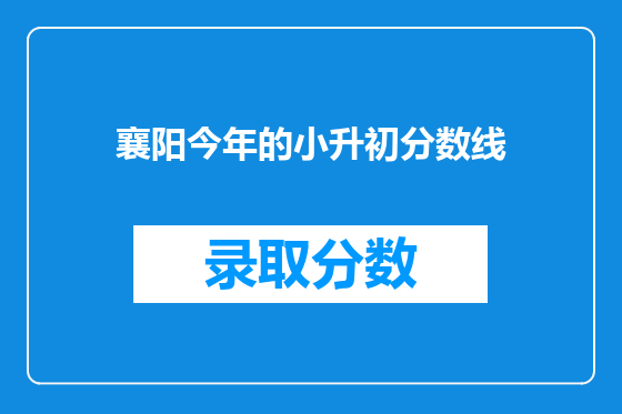 襄阳今年的小升初分数线