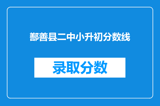 鄯善县二中小升初分数线