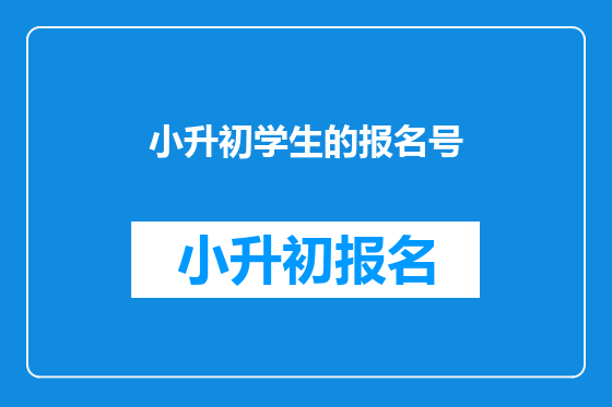 小升初学生的报名号