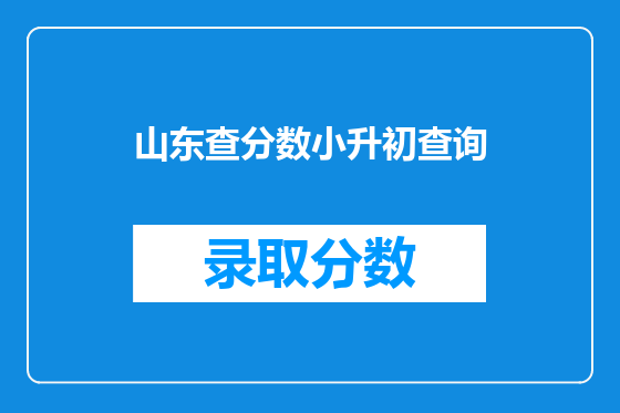 山东查分数小升初查询