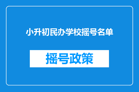 小升初民办学校摇号名单