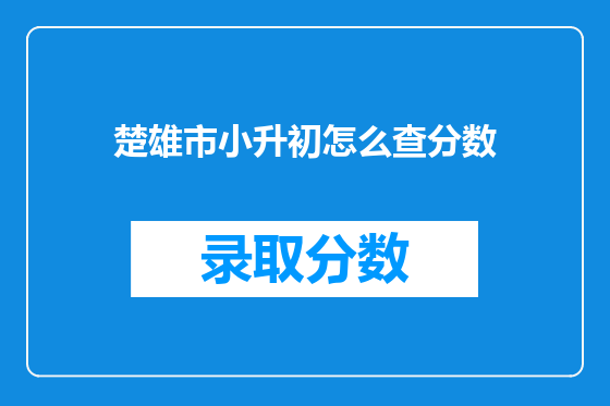 楚雄市小升初怎么查分数