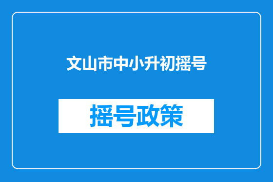 文山市中小升初摇号