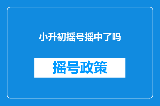 小升初摇号摇中了吗