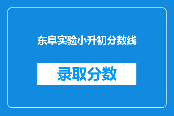 东阜实验小升初分数线