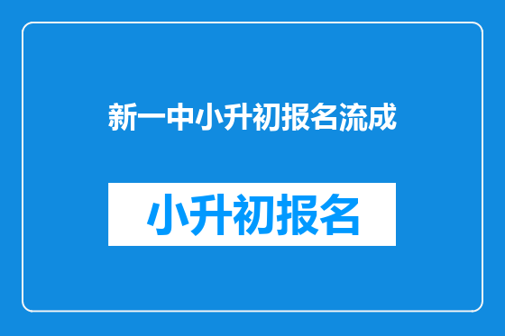新一中小升初报名流成
