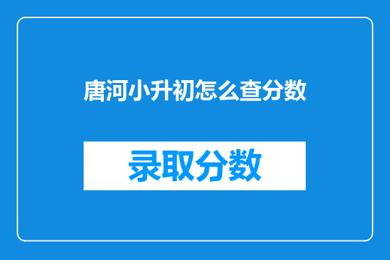 唐河小升初怎么查分数