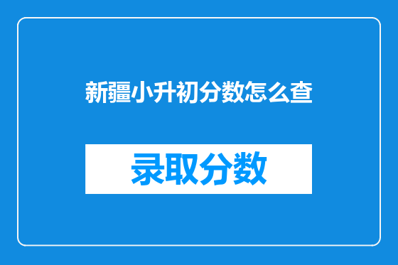 新疆小升初分数怎么查