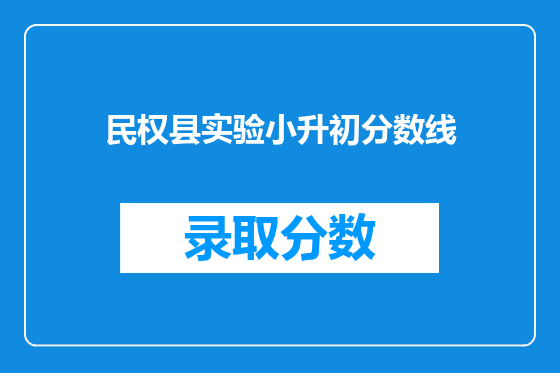 民权县实验小升初分数线