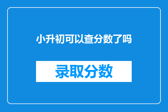 小升初可以查分数了吗