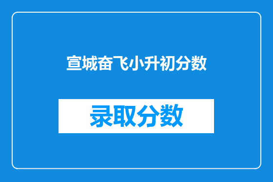 宣城奋飞小升初分数