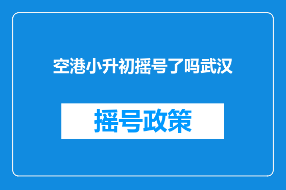 空港小升初摇号了吗武汉