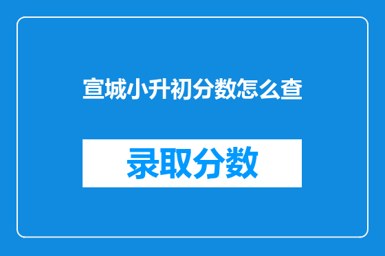 宣城小升初分数怎么查