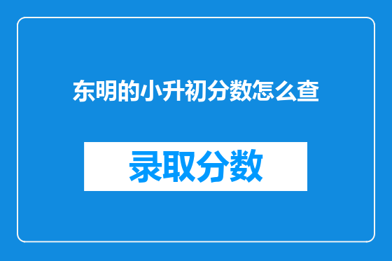 东明的小升初分数怎么查
