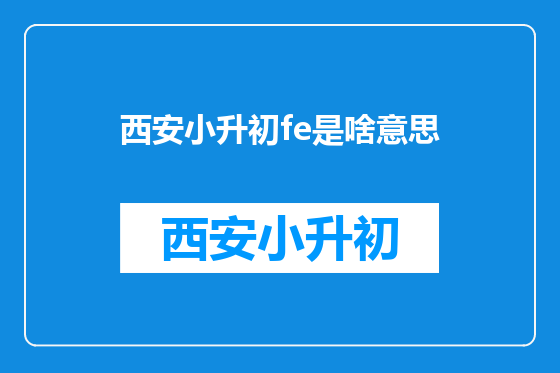 西安小升初fe是啥意思