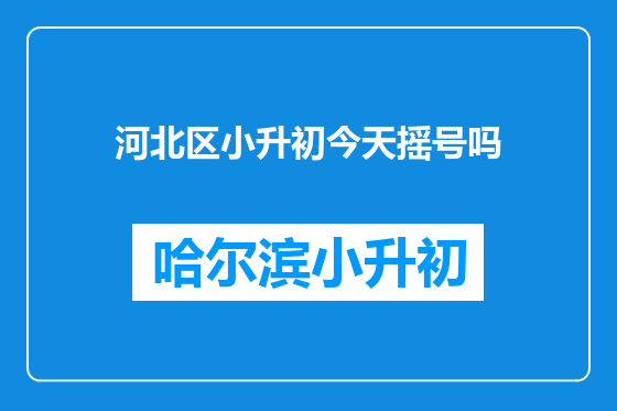 河北区小升初今天摇号吗