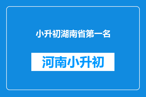 小升初湖南省第一名