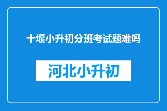 十堰小升初分班考试题难吗
